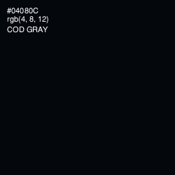 #04080C - Cod Gray Color Image